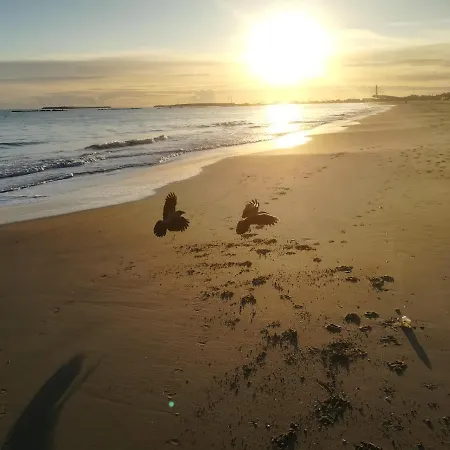 アパート Nice Days *