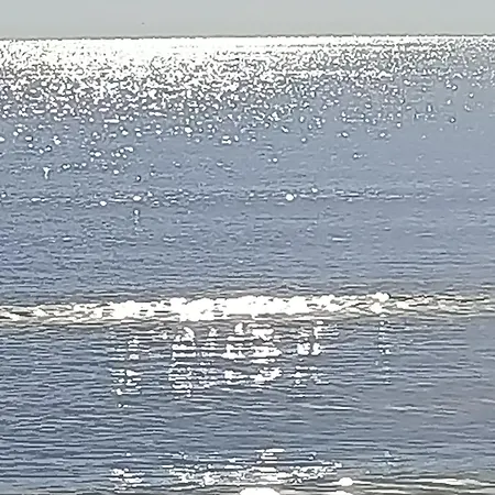 Nice Days * ペスカーラ