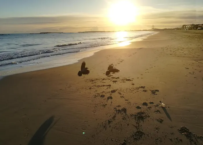 Lejlighed Nice Days *